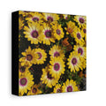 Yellow Daisy Floral Canvas Wall Art