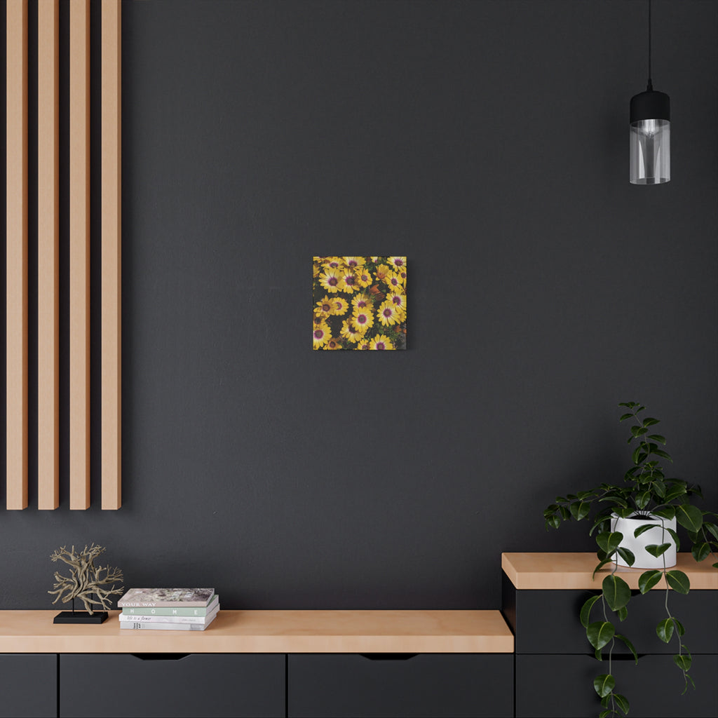 Yellow Daisy Floral Canvas Wall Art
