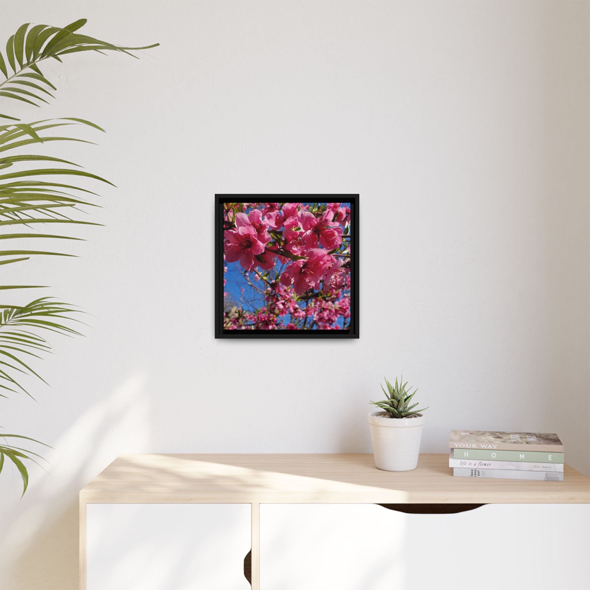 Pink Peach Blossom Framed Canvas Print