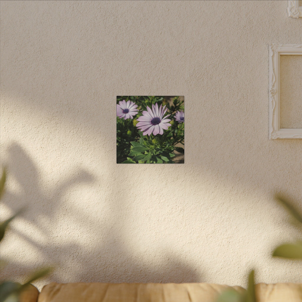 Unframed Purple Daisy Floral Canvas Print