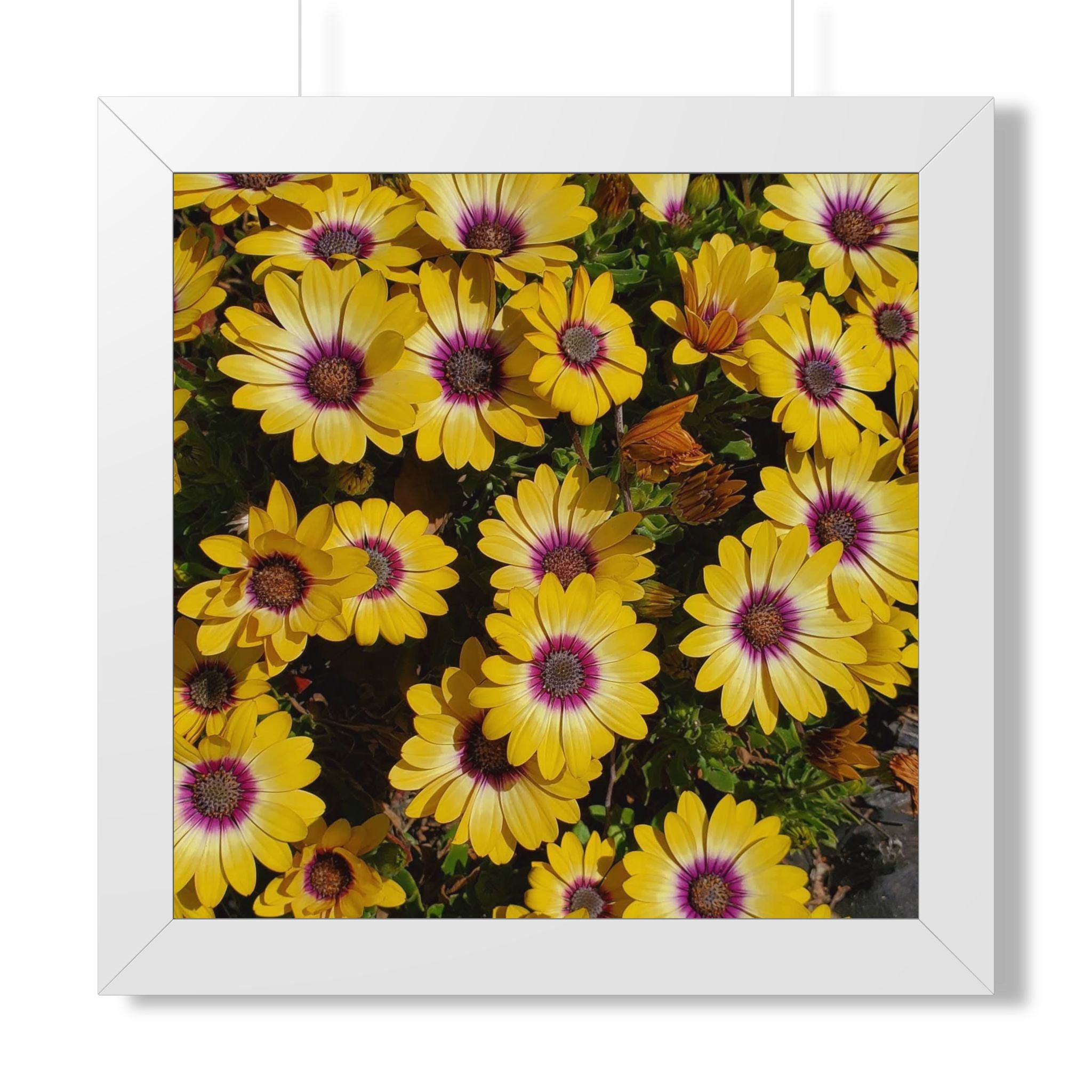 Yellow Daisy Floral Framed Vertical Poster | Square Wall Art