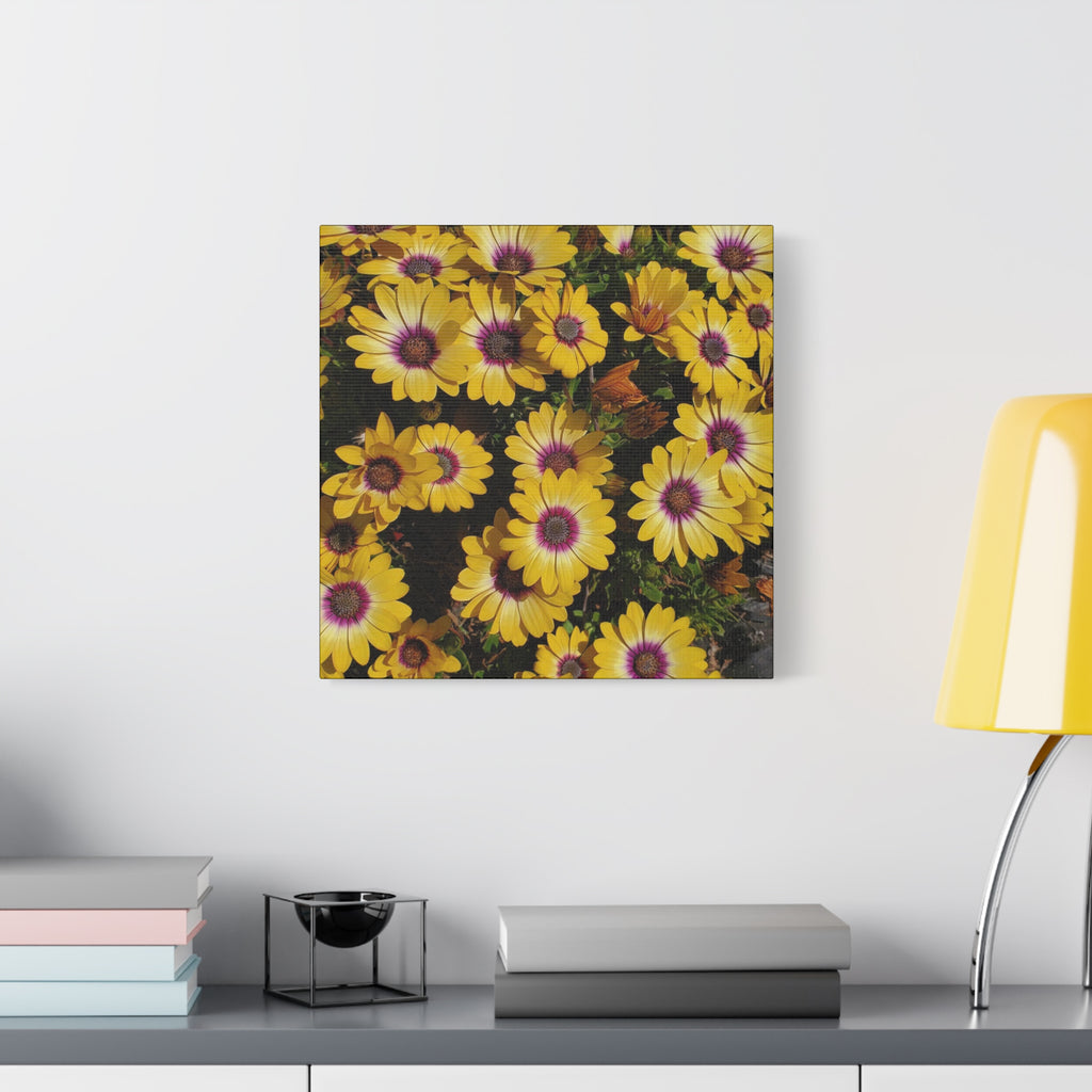 Yellow Daisy Floral Canvas Wall Art