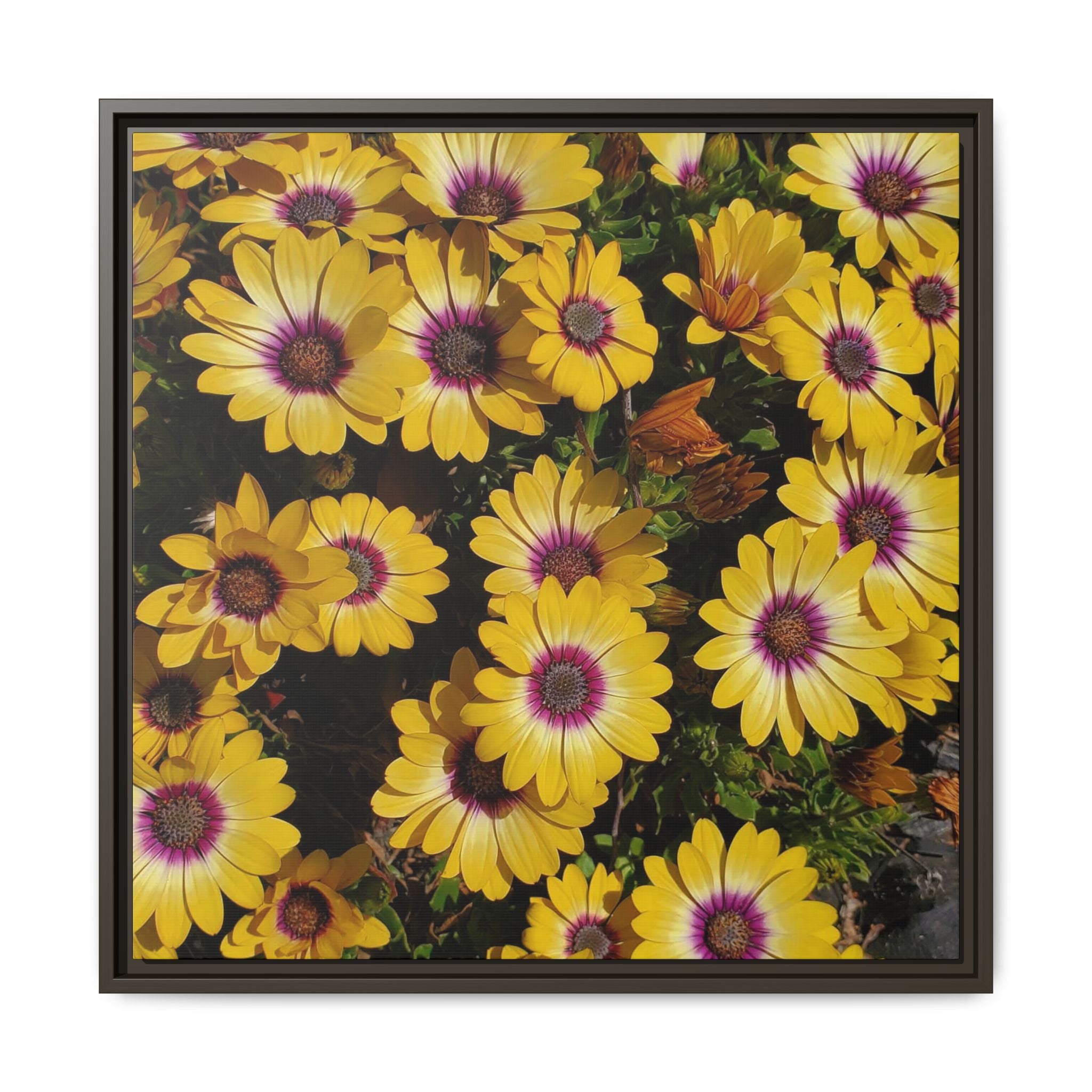 Cuadro de pared de lienzo con margaritas amarillas — Impresión floral mate vibrante