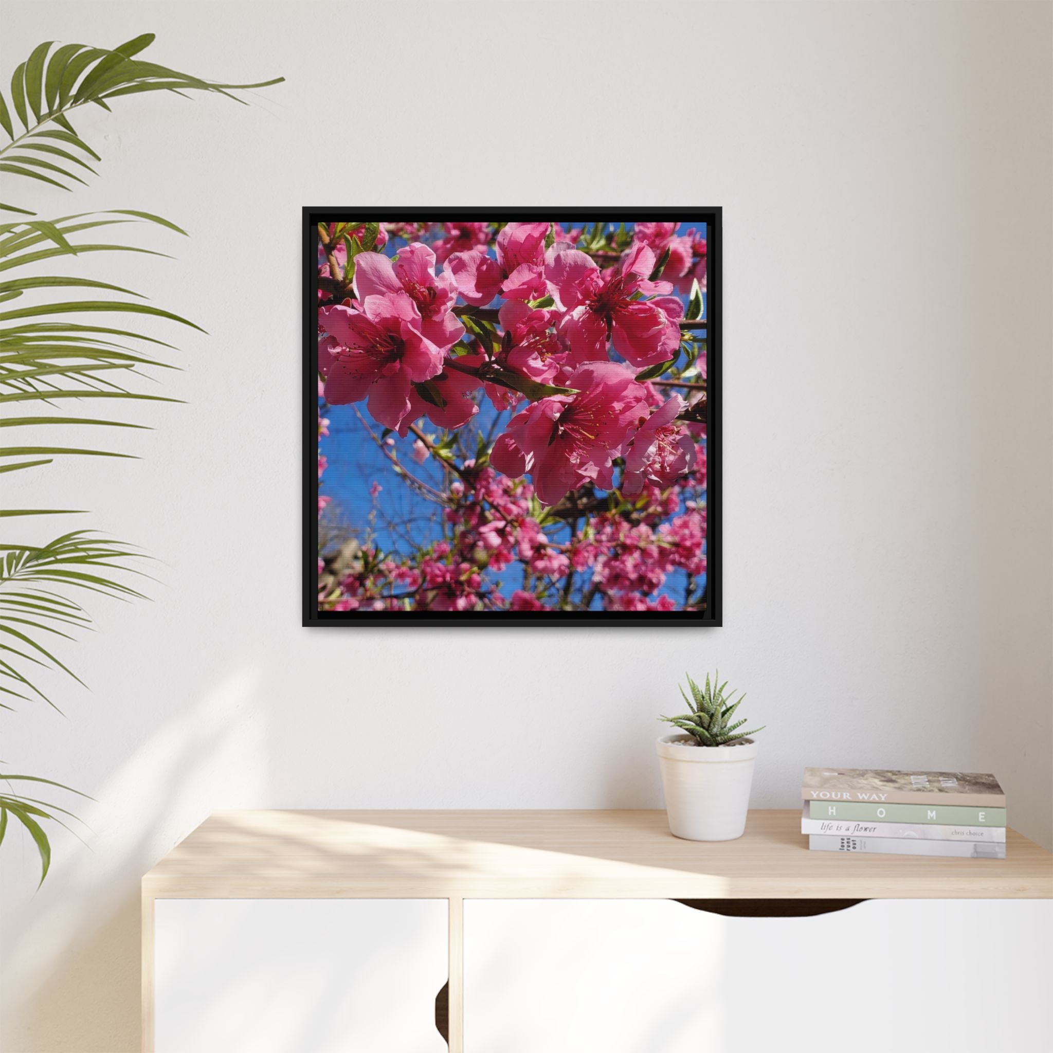 Pink Peach Blossom Framed Canvas Print