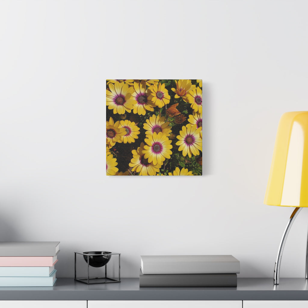 Yellow Daisy Floral Canvas Wall Art