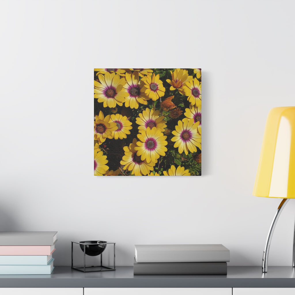 Yellow Daisy Floral Canvas Wall Art