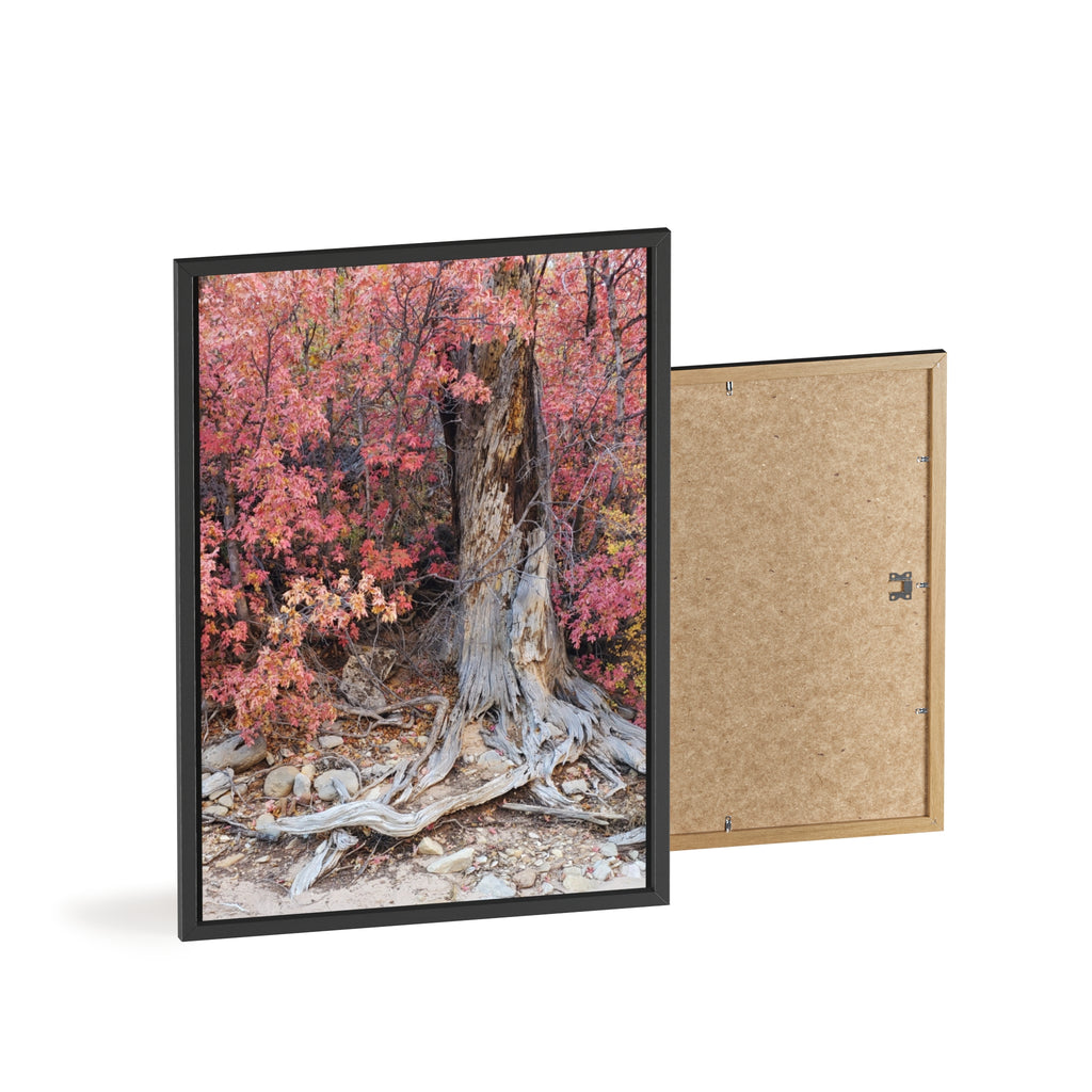 Autumn Tree Roots Poster with Wooden Frame | Fall Forest Wall Art