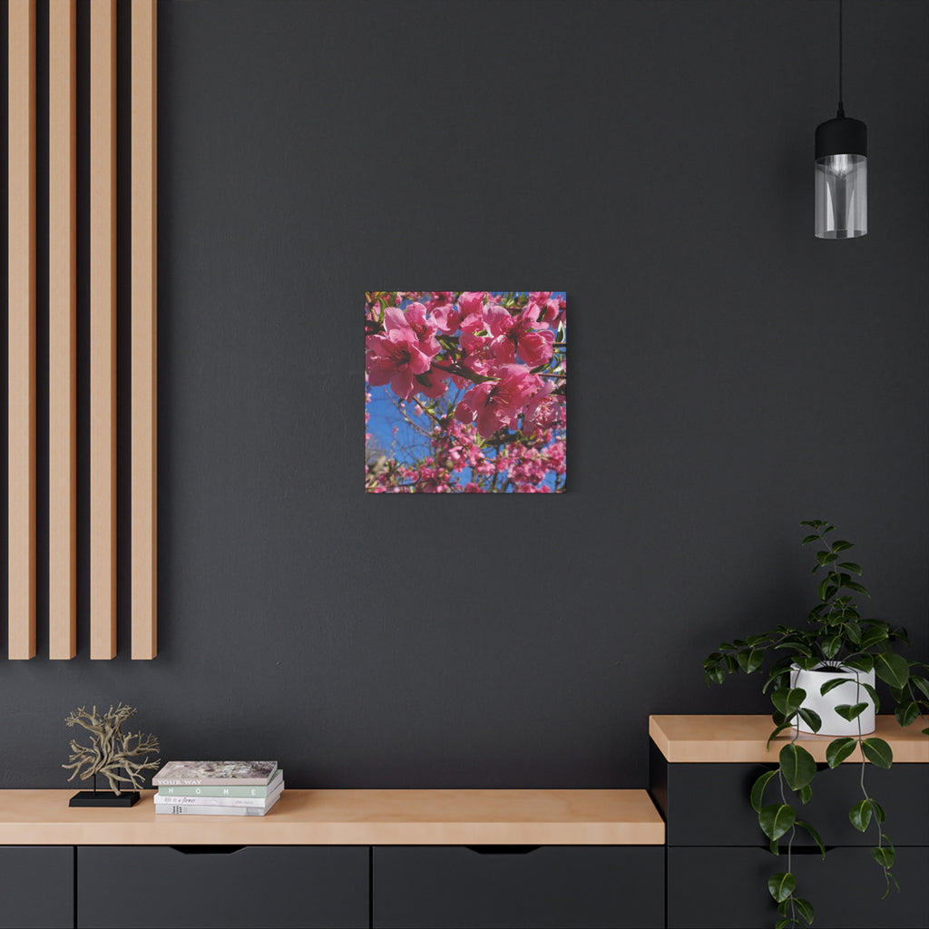 Pink Blossom Canvas Wall Art — Floral Print