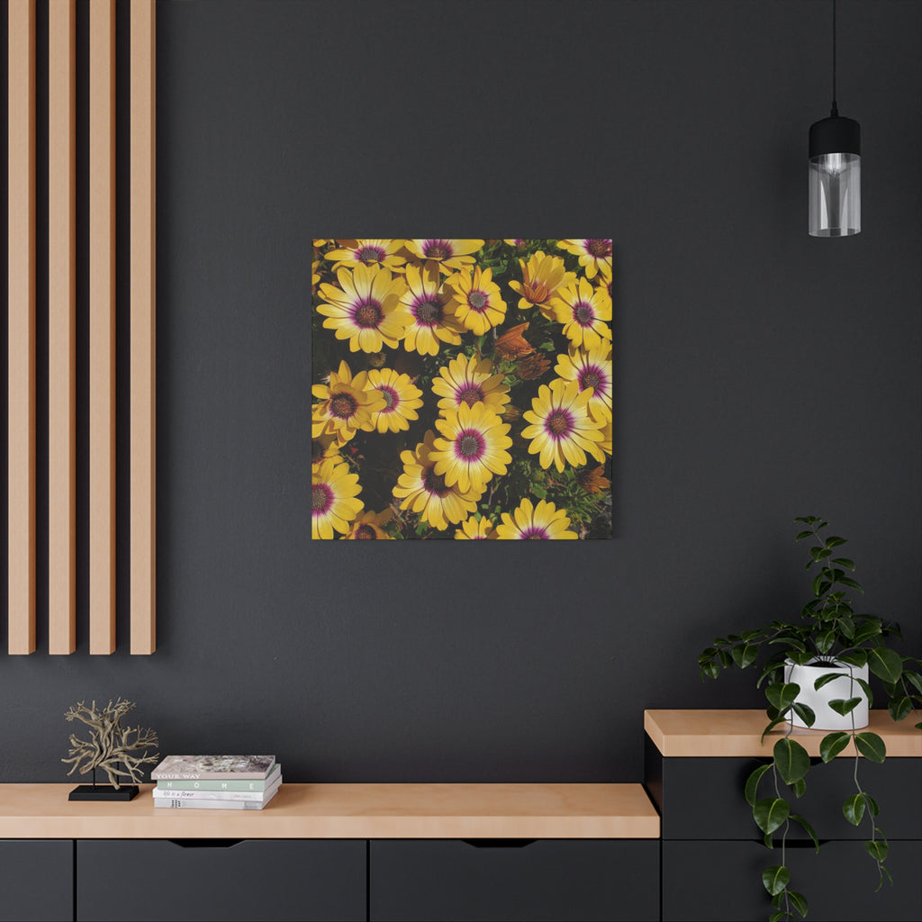 Yellow Daisy Floral Canvas Wall Art