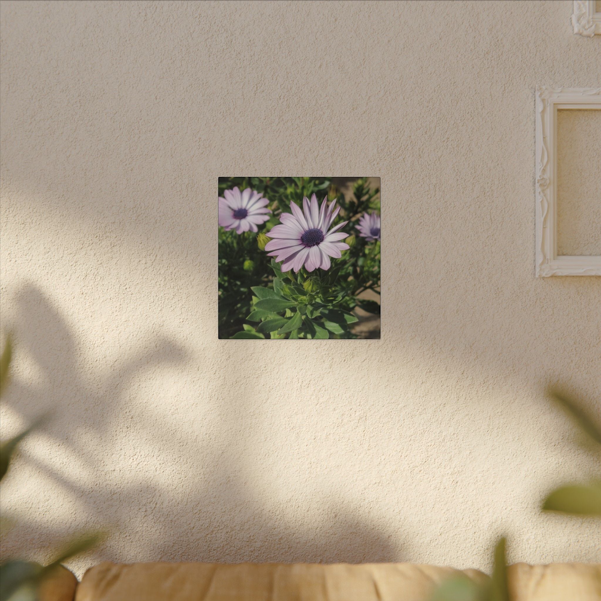 Unframed Purple Daisy Floral Canvas Print