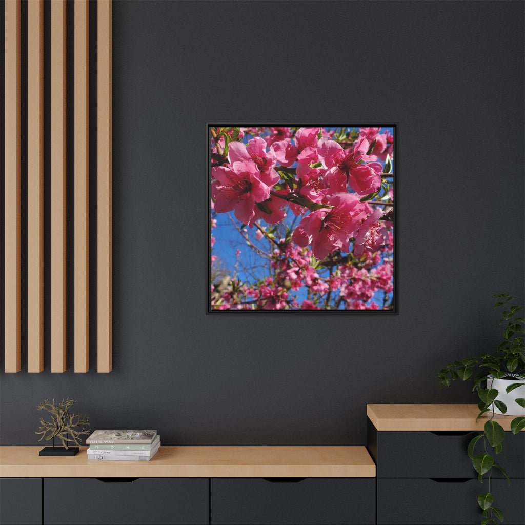 Lienzo Impreso de Flor de Cerezo Rosa