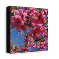 Pink Blossom Canvas Wall Art — Floral Print