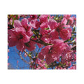 Rompecabezas de flores de cerezo rosas 252/520 piezas | Rompecabezas floral de primavera
