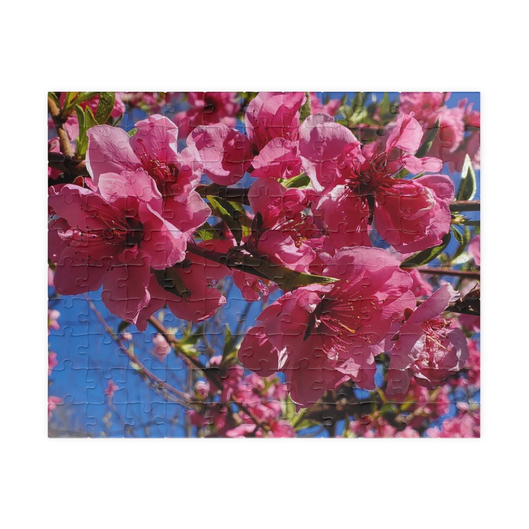 Rompecabezas de flores de cerezo rosas 252/520 piezas | Rompecabezas floral de primavera