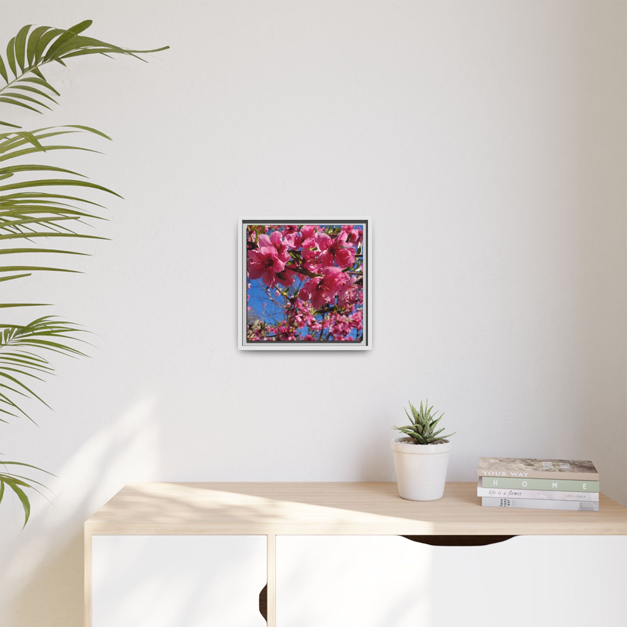 Pink Peach Blossom Framed Canvas Print