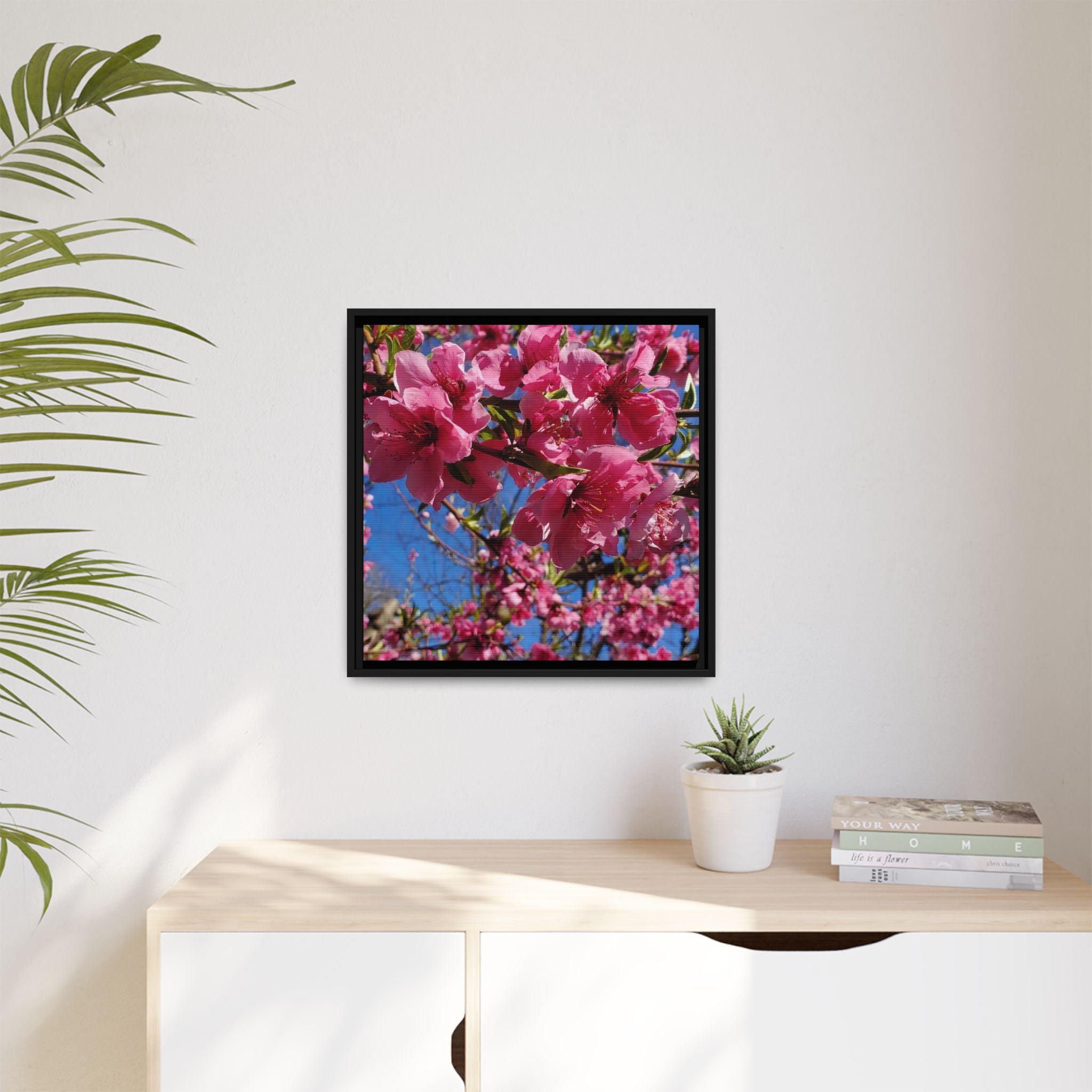 Pink Peach Blossom Framed Canvas Print