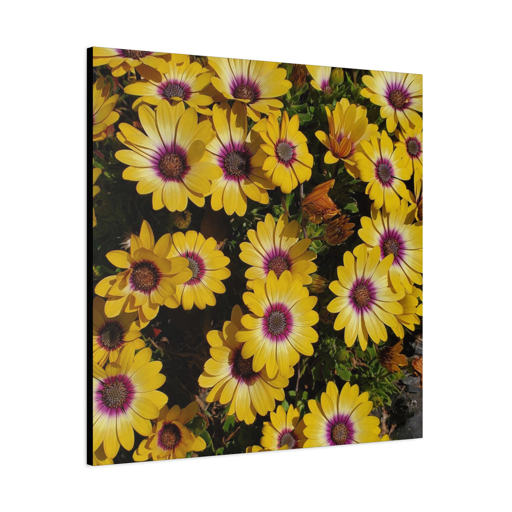 Yellow Daisy Floral Canvas Wall Art
