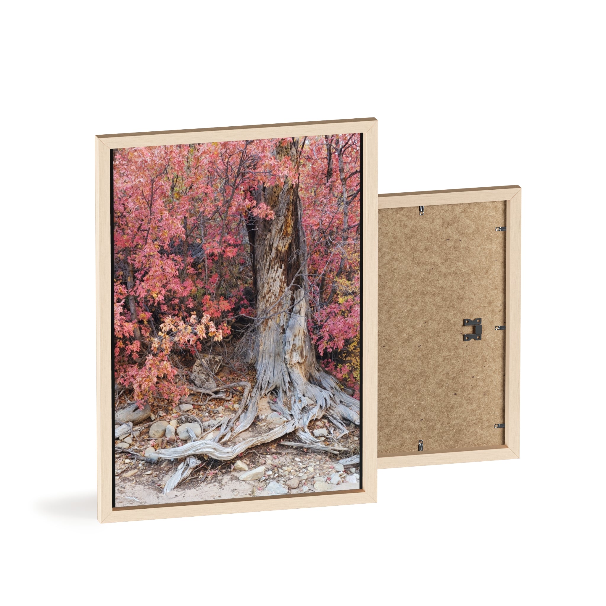 Autumn Tree Roots Poster with Wooden Frame | Fall Forest Wall Art