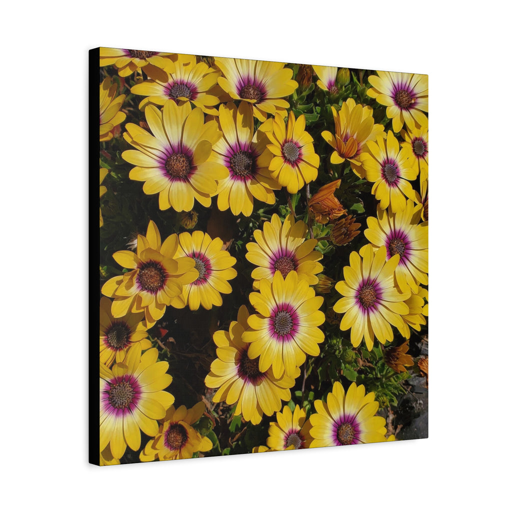 Yellow Daisy Floral Canvas Wall Art