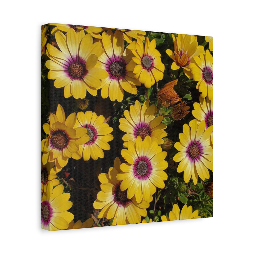 Yellow Daisy Floral Canvas Wall Art