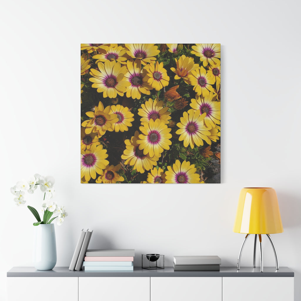 Yellow Daisy Floral Canvas Wall Art