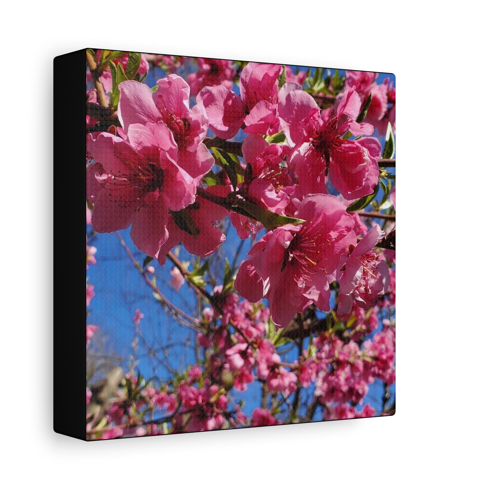 Cuadro de pared en lienzo con flores rosas — Impresión floral mate estirada