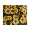 Rompecabezas Margarita Amarilla | Rompecabezas Floral