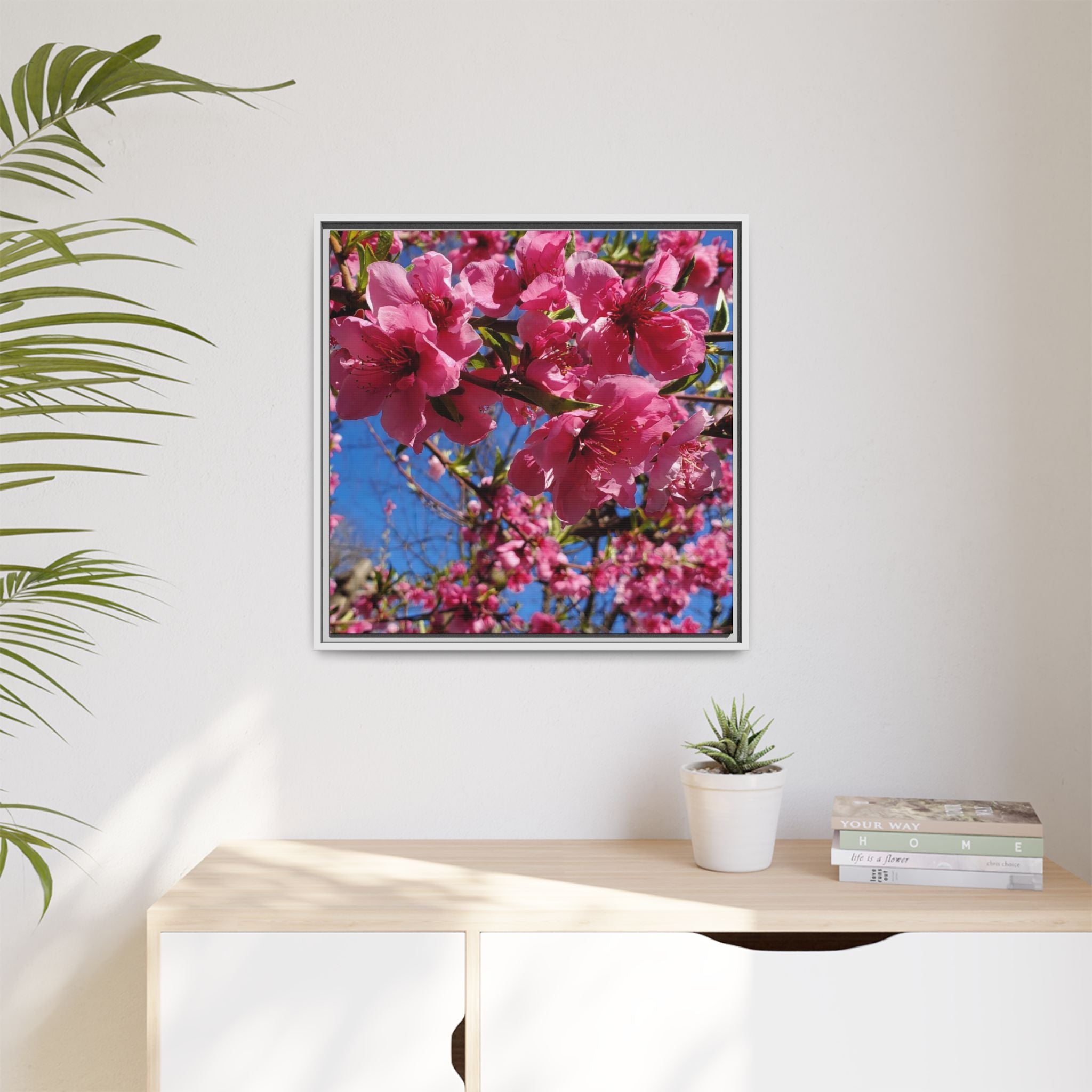 Pink Peach Blossom Framed Canvas Print