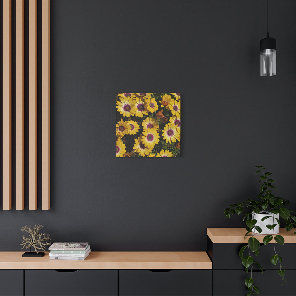 Yellow Daisy Floral Canvas Wall Art