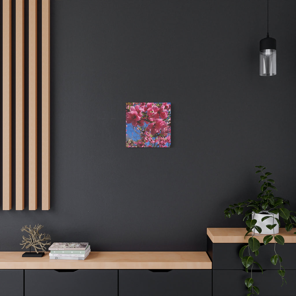 Pink Blossom Canvas Wall Art — Floral Print