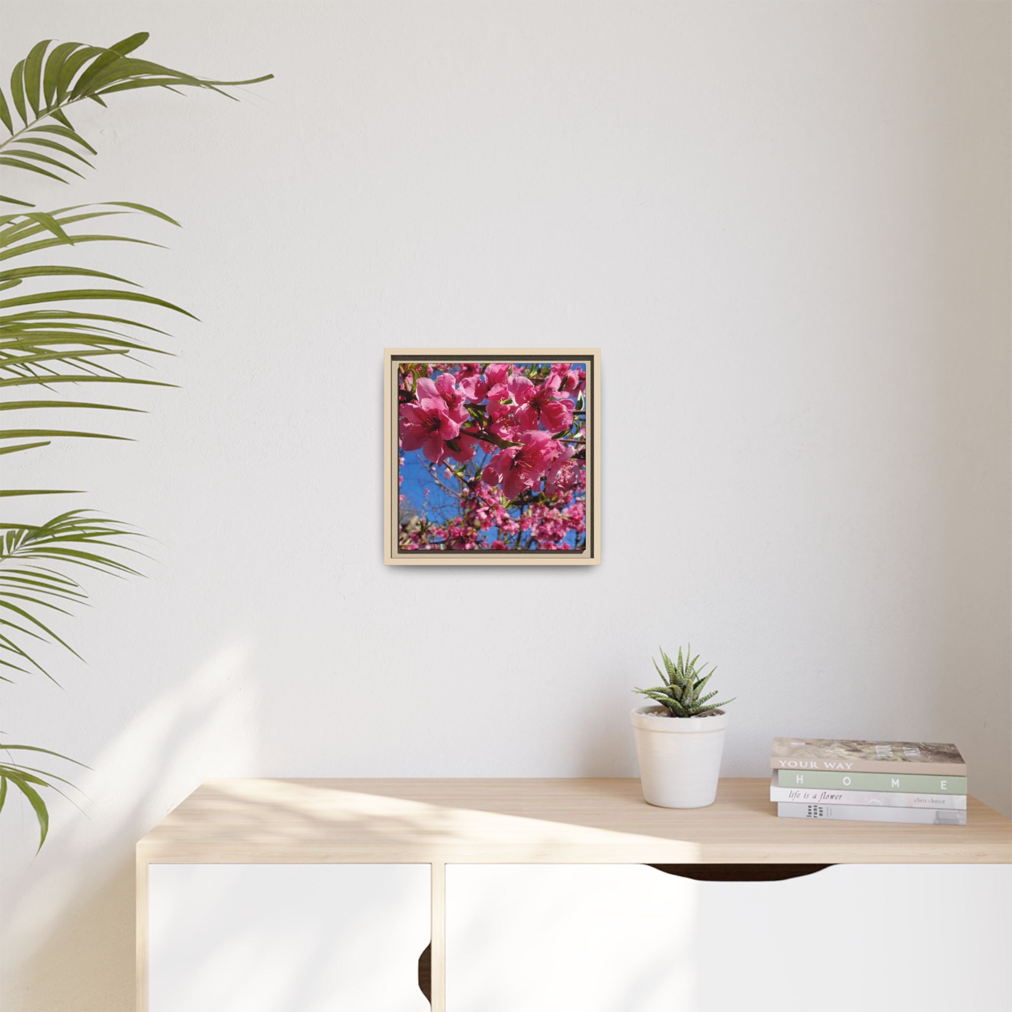 Pink Peach Blossom Framed Canvas Print