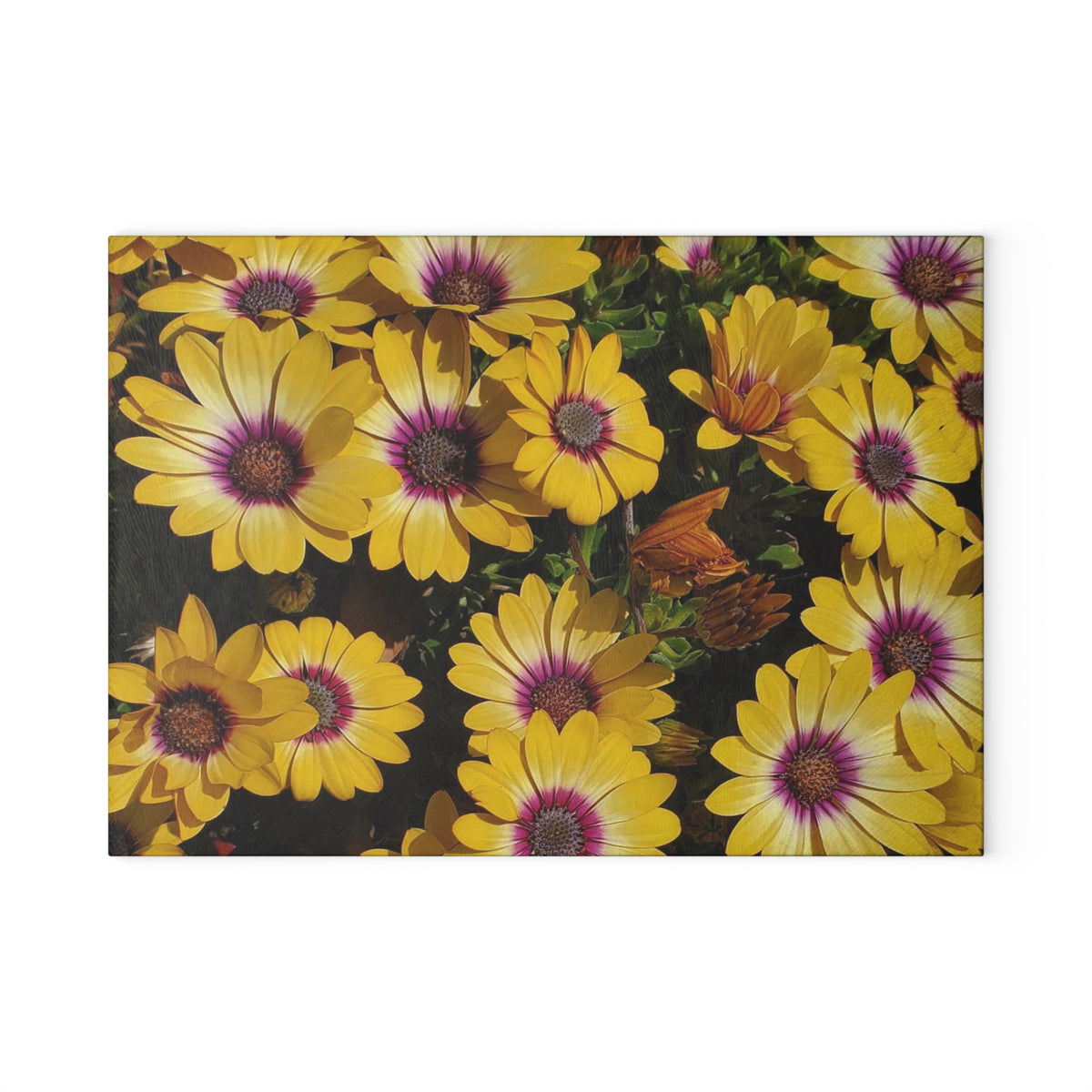 Glass Cutting Board - Yellow Daisy Floral Tempered Glass Chopping Board