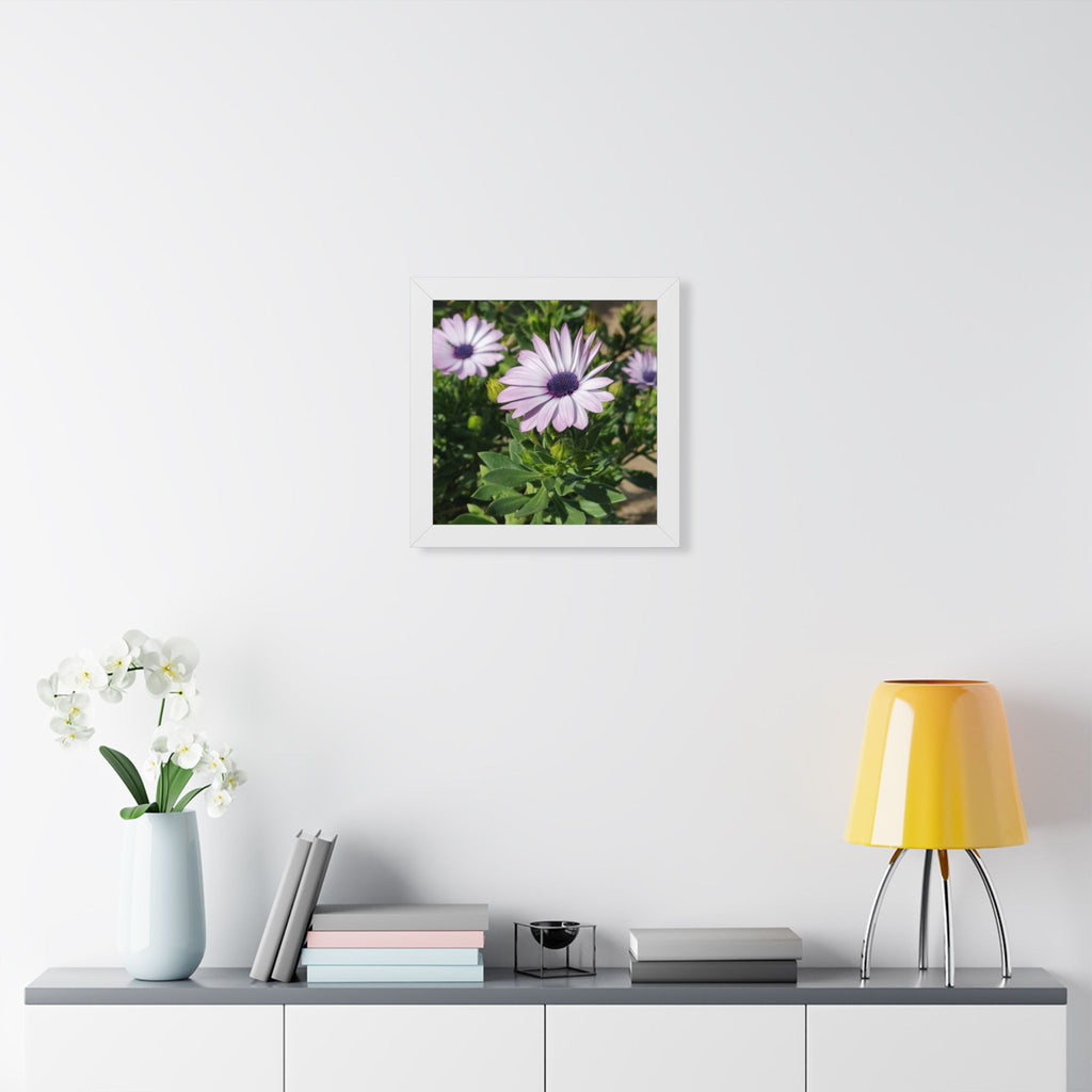 Lavender Daisy Framed Poster | Floral Wall Art, Square Print