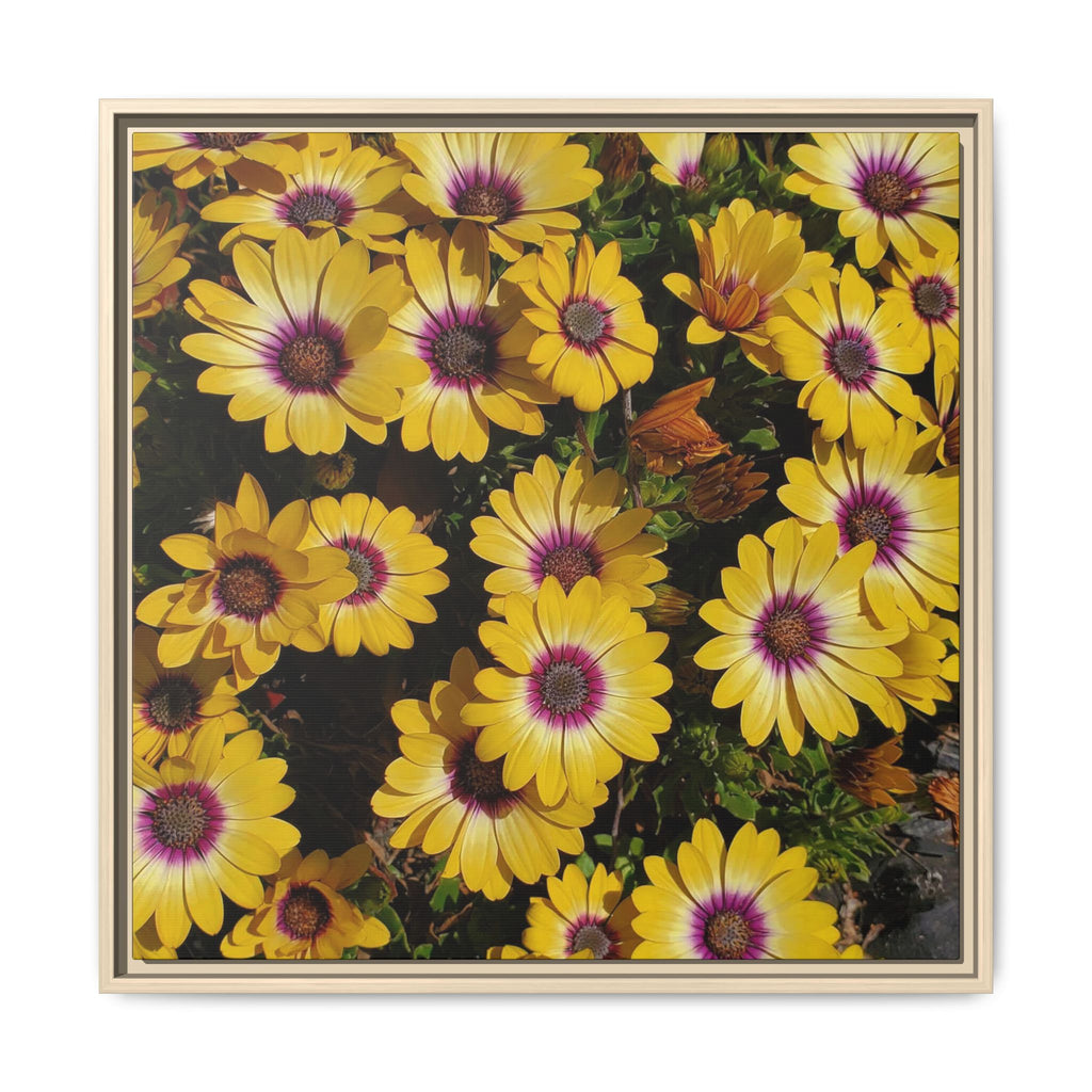 Cuadro de pared de lienzo con margaritas amarillas — Impresión floral mate vibrante
