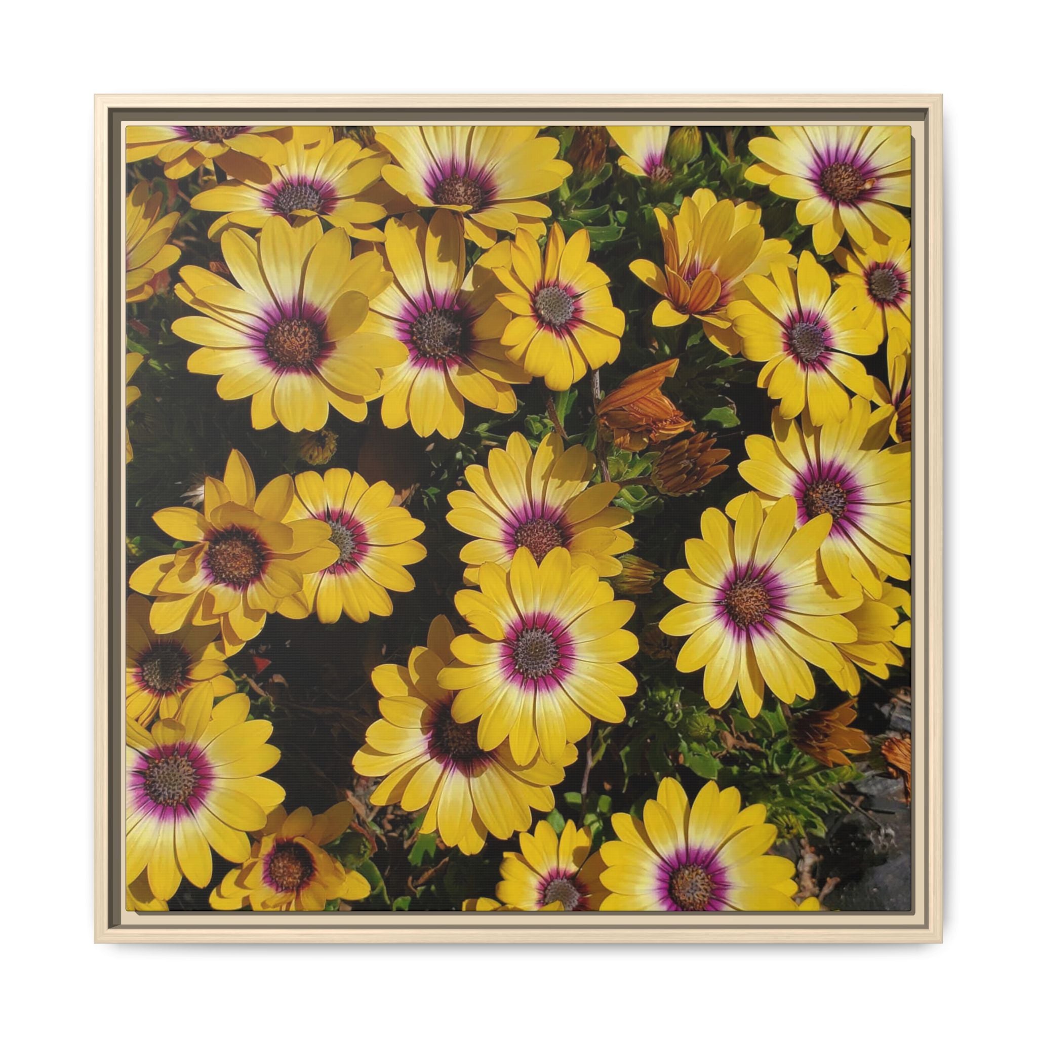Cuadro de pared de lienzo con margaritas amarillas — Impresión floral mate vibrante
