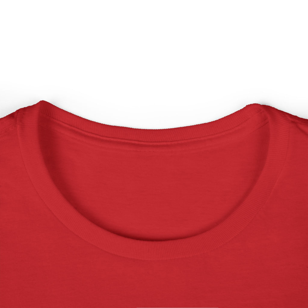 Women's T-Shirt — "Destroy the Patriarchy, Not the Planet" Eco-Feminist Graphic Tee