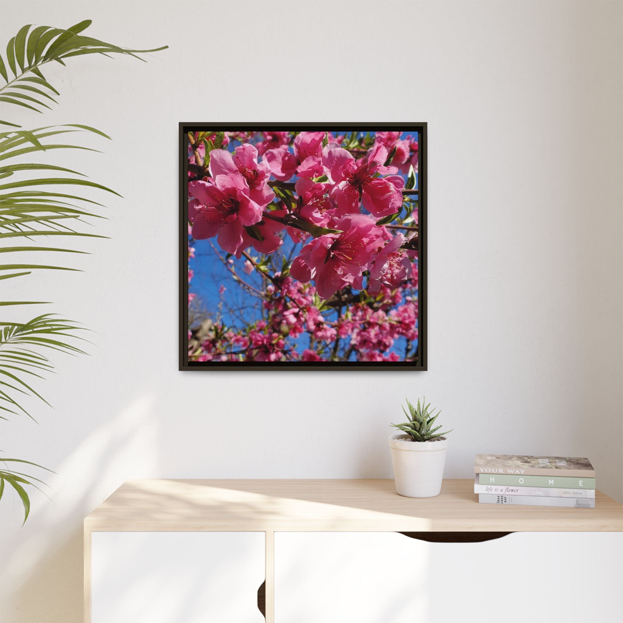 Pink Peach Blossom Framed Canvas Print