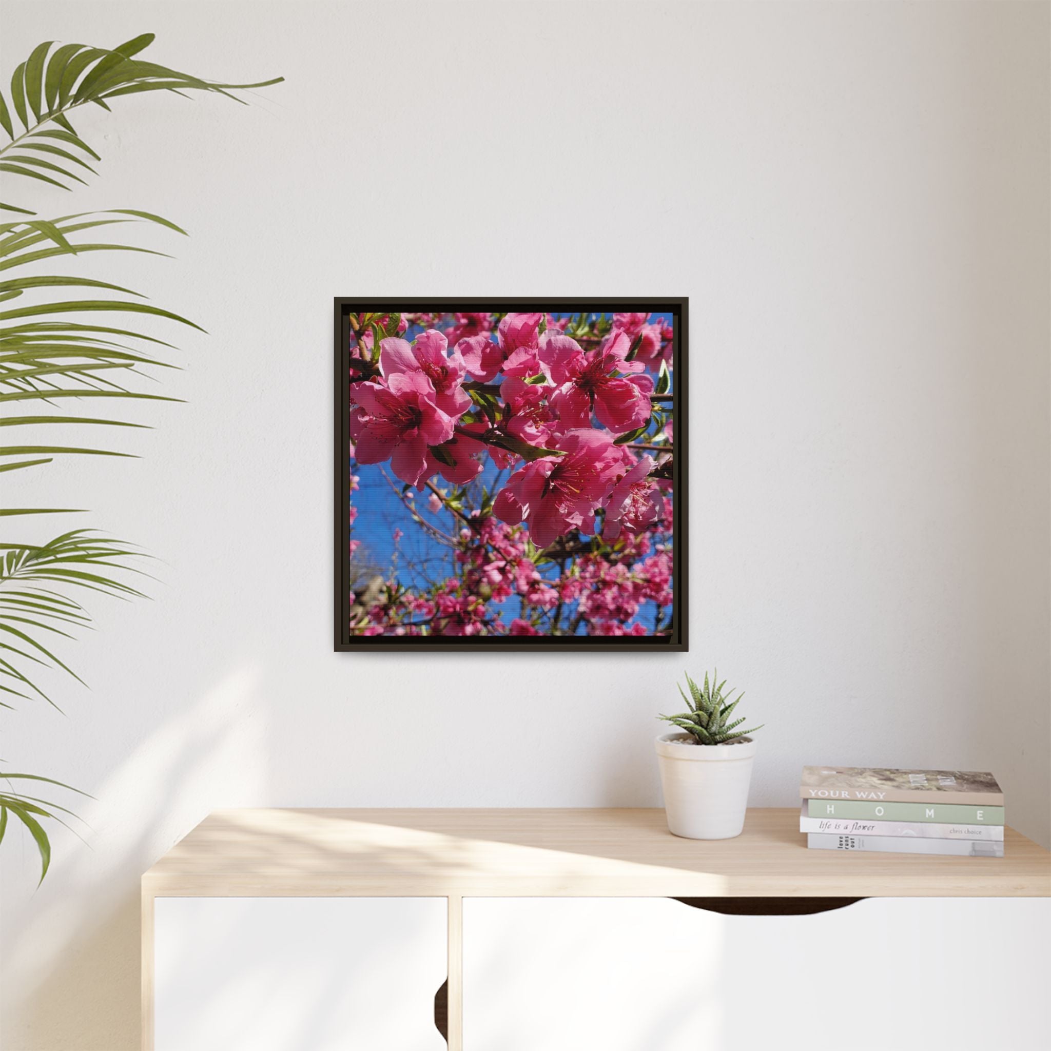 Pink Peach Blossom Framed Canvas Print