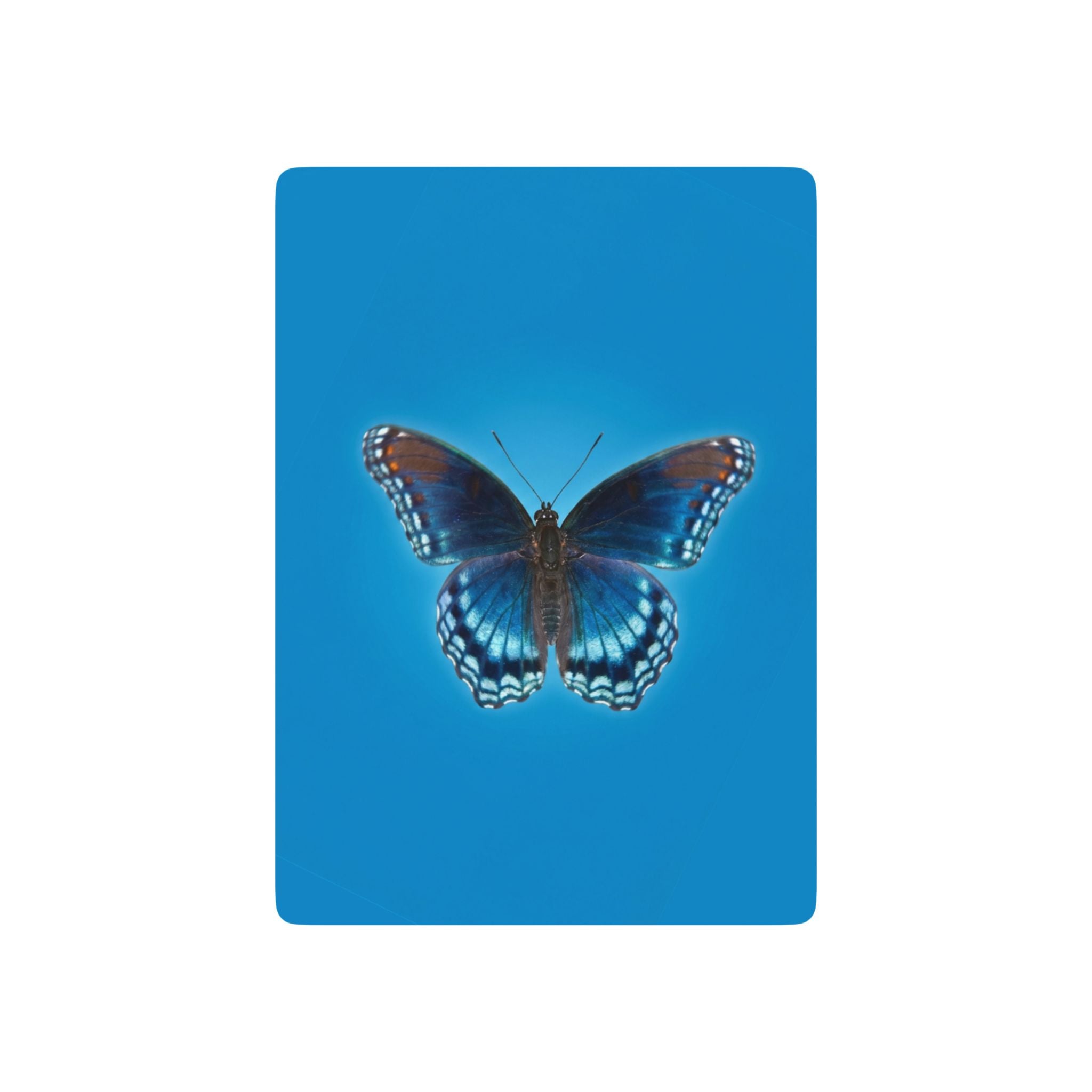 Butterfly Blue Playing Cards
