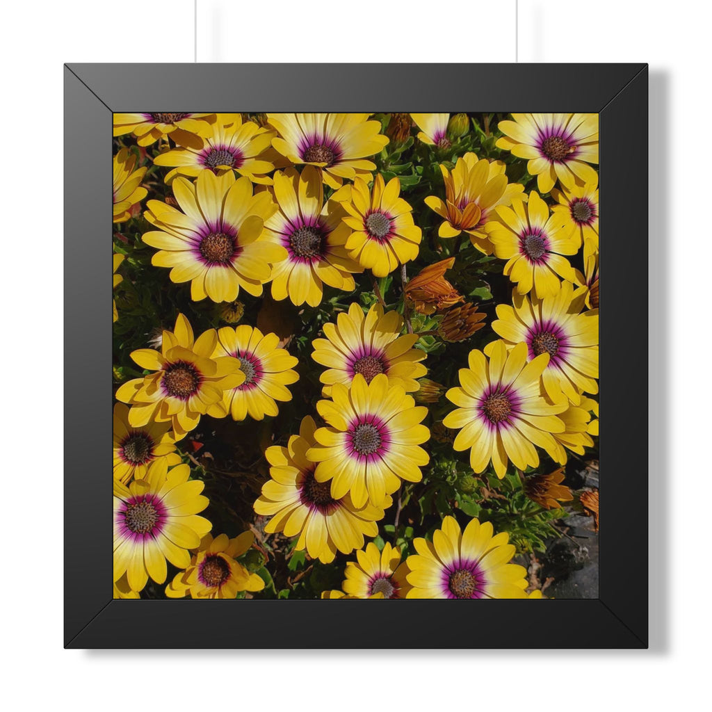 Yellow Daisy Floral Framed Vertical Poster | Square Wall Art
