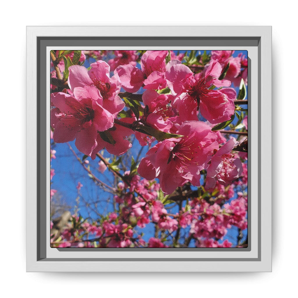 Lienzo Impreso de Flor de Cerezo Rosa