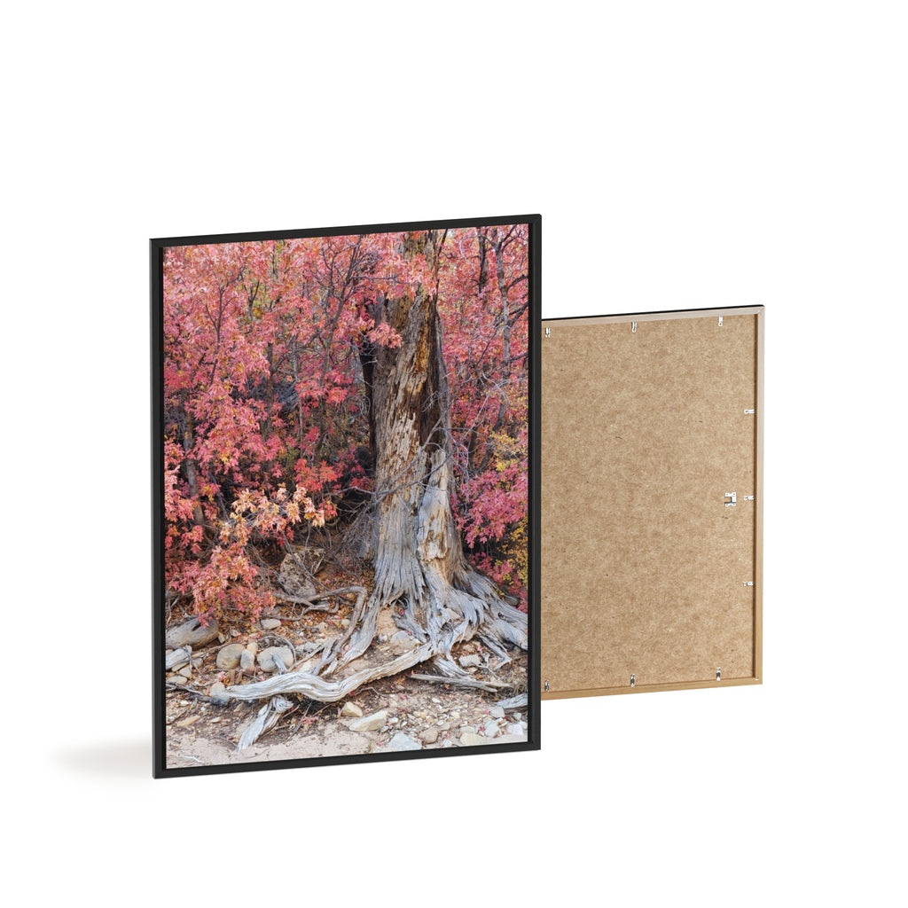 Autumn Tree Roots Poster with Wooden Frame | Fall Forest Wall Art