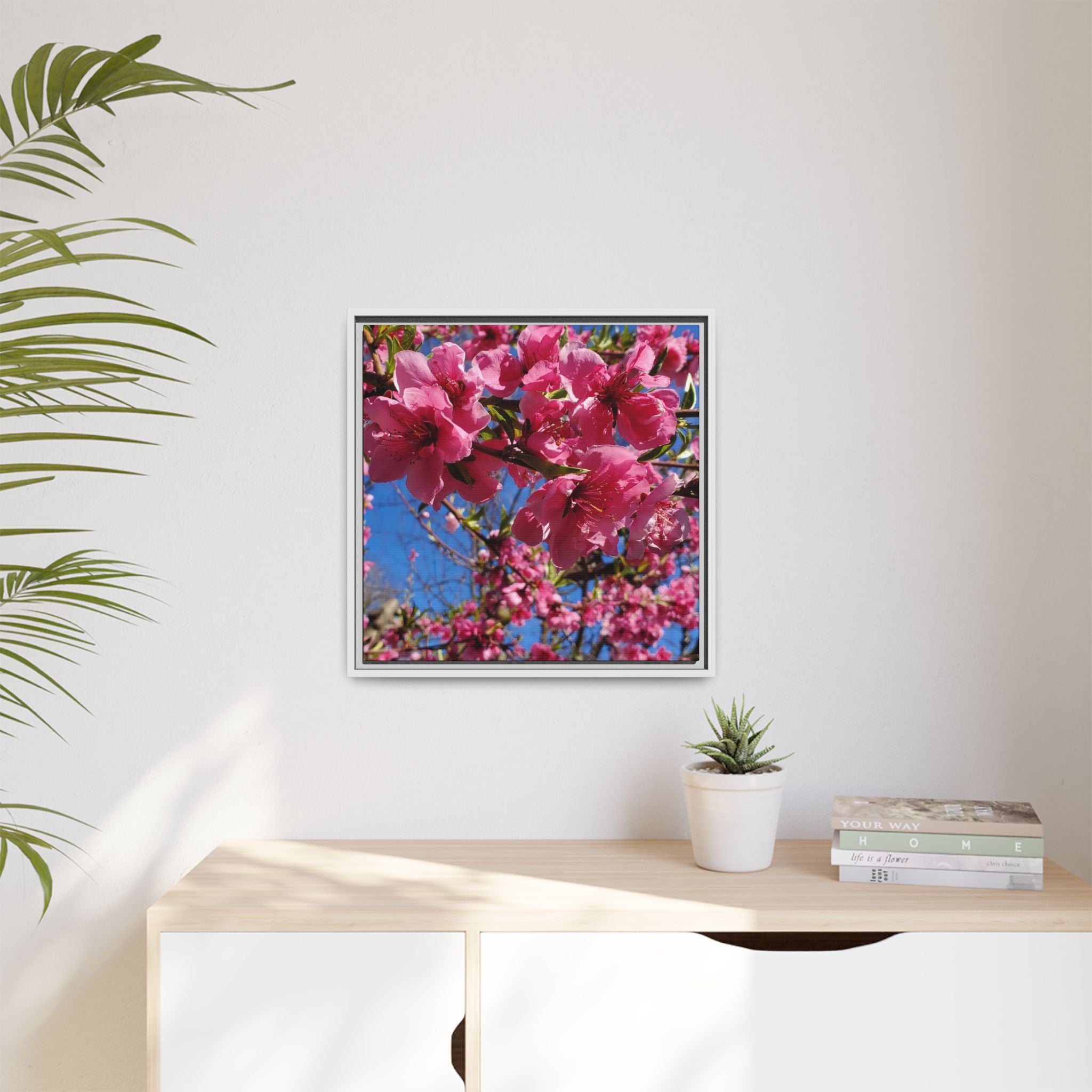 Pink Peach Blossom Framed Canvas Print