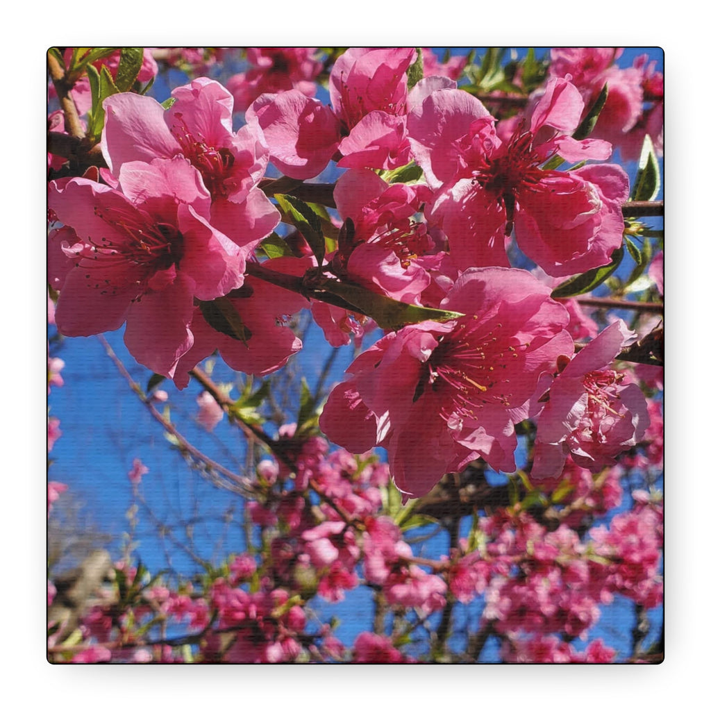 Cuadro de pared en lienzo con flores rosas — Impresión floral mate estirada