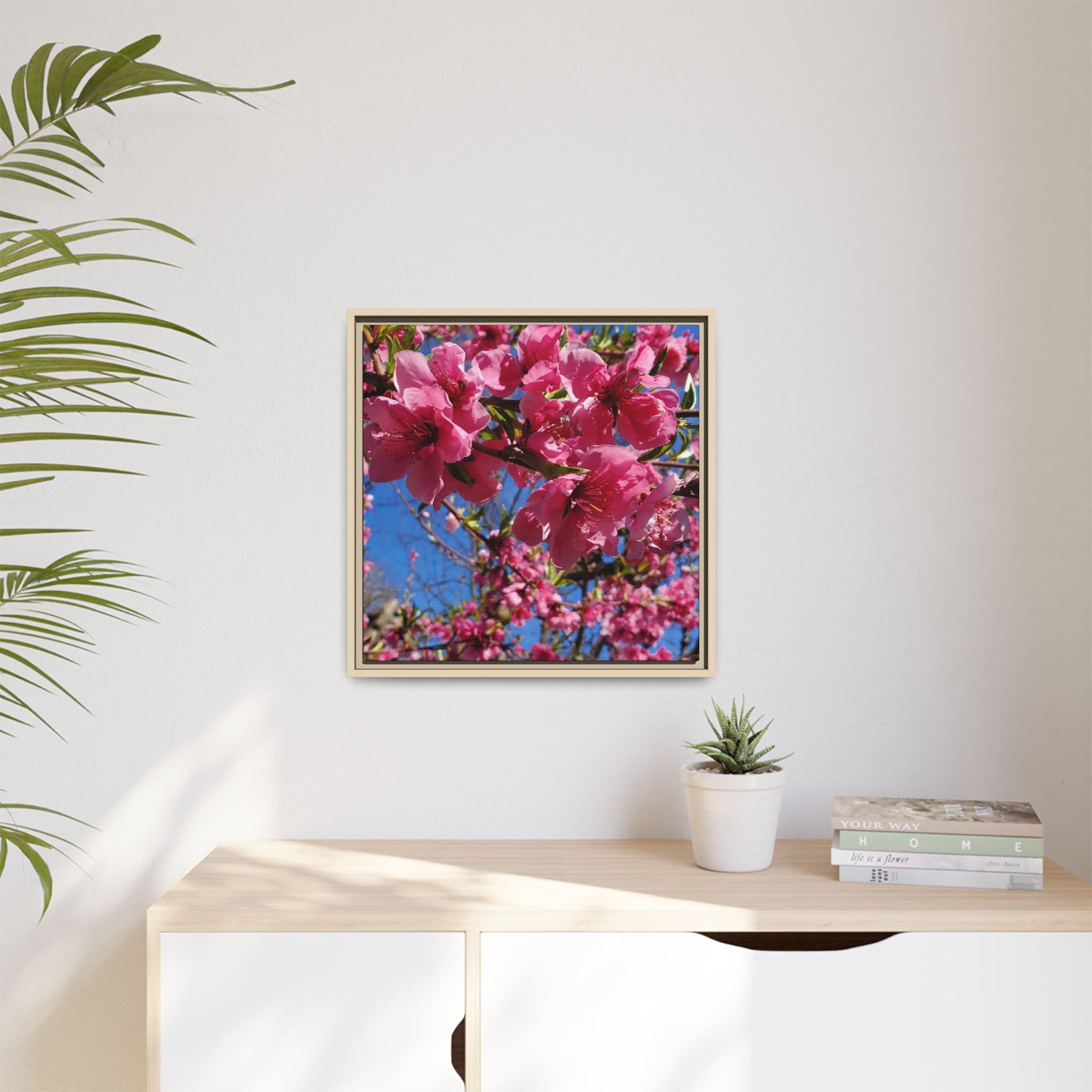 Pink Peach Blossom Framed Canvas Print