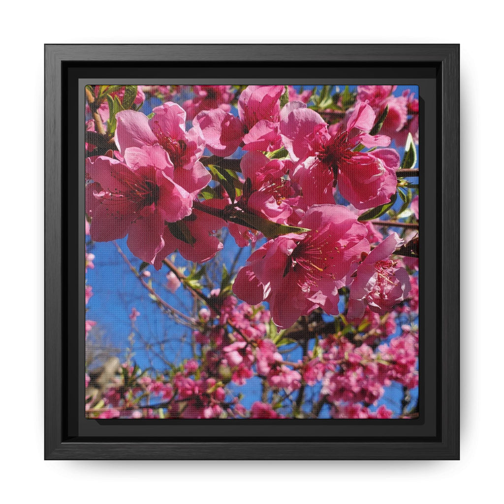 Lienzo Impreso de Flor de Cerezo Rosa