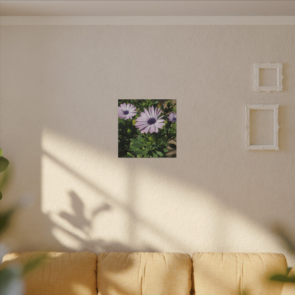 Unframed Purple Daisy Floral Canvas Print