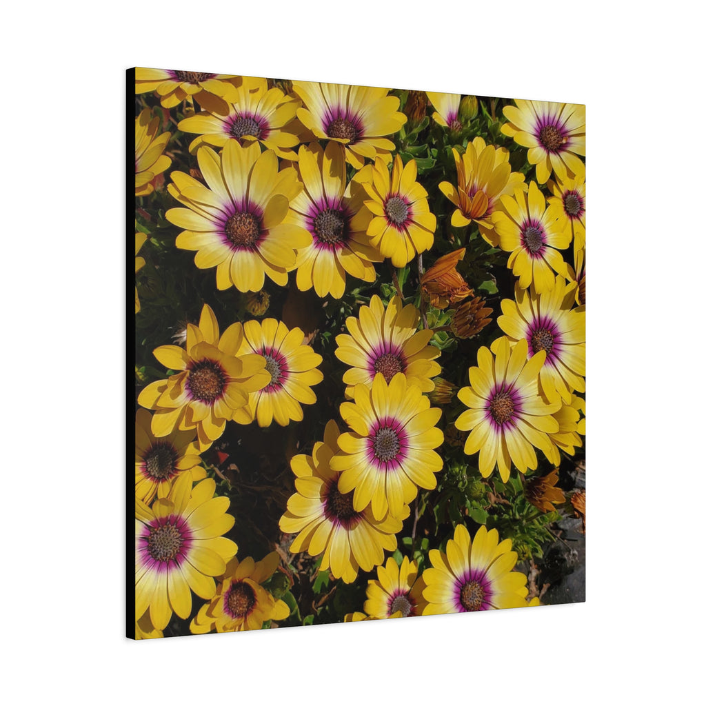 Yellow Daisy Floral Canvas Wall Art