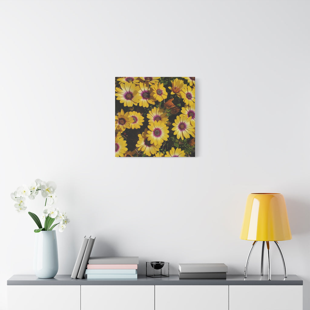 Yellow Daisy Floral Canvas Wall Art