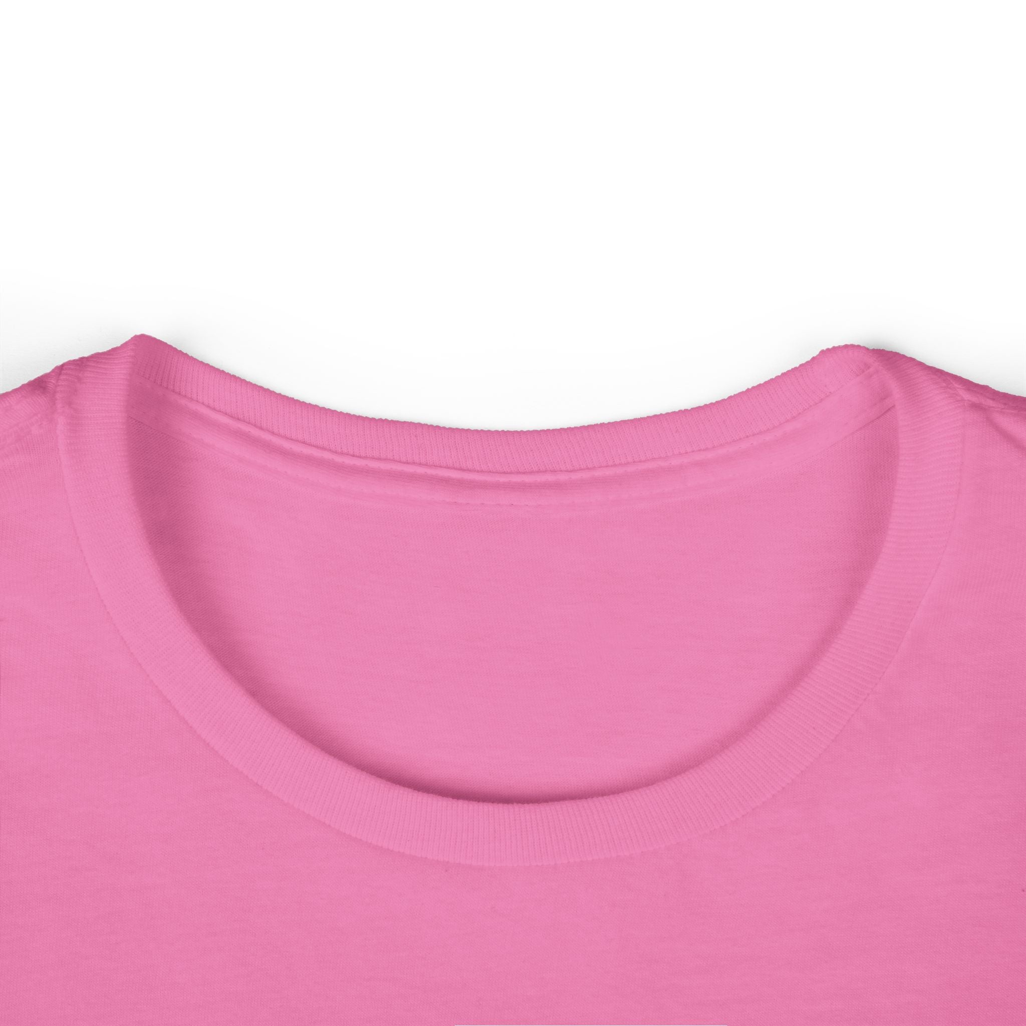 Women's T-Shirt — "Destroy the Patriarchy, Not the Planet" Eco-Feminist Graphic Tee
